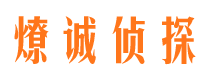 居巢市侦探公司